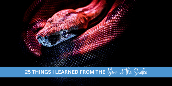 25 things I learned from the Year of the Snake in 2025